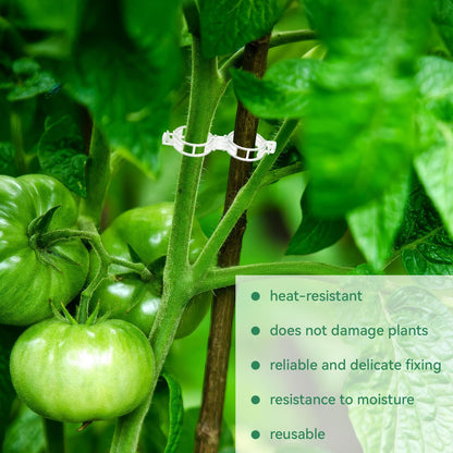 🔥Last Day Sale Tomato Clips, Plastic Trellis Clips